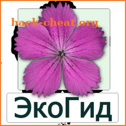 EcoGuide: Russian Wild Flowers icon