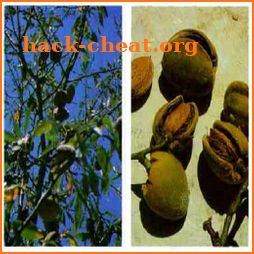 Edible and Medicinal Plants - Offline Plant Guide icon