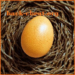 Egg Journey icon