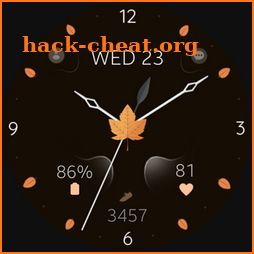 Elegant Autumn watch face icon