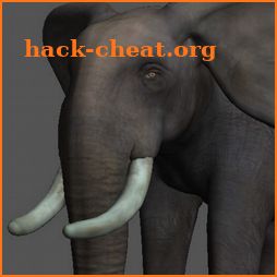 Elephant Pose Tool 3D icon