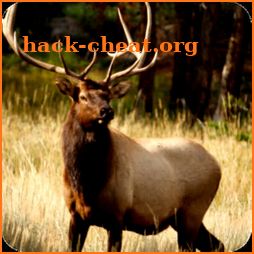 Elk Hunting Calls Free icon