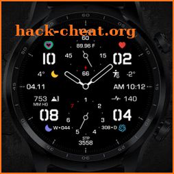 ENDURANCE 2 Watch Face icon