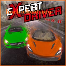 Expert Driver - Open World Driving Game 2021 icon