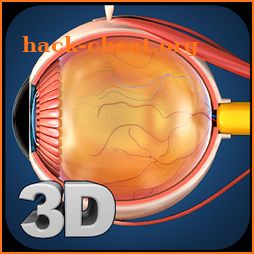 Eye Anatomy Pro. icon