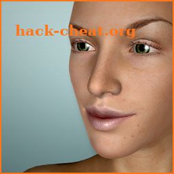 Face Model - 3D virtual human head pose tool icon