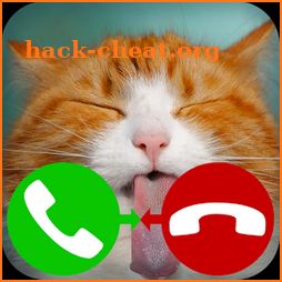 fake call cat 2 icon
