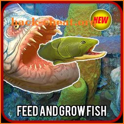 Feed and Grow : Simulator Fish icon