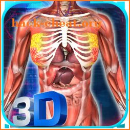Female Anatomy 3D : Female Body Visualizer icon