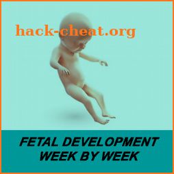 Fetal Development Week By Week icon