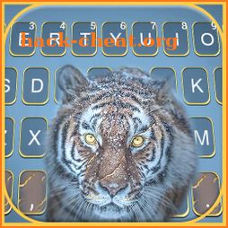 Fierce Snow Tiger Keyboard Background icon