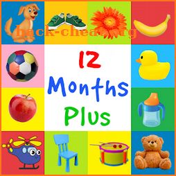First Words 12 Months Plus (Baby Flashcards) icon