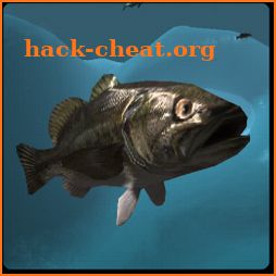 Fish And Grow Feeding Simulator icon