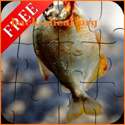 Fish Jigsaw Puzzle Game icon