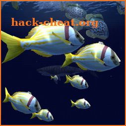 Fish Schooling VR icon