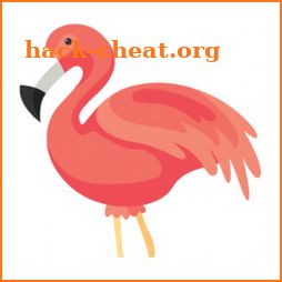 Flamingo Animator icon