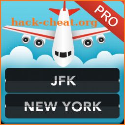 FLIGHTS JFK New York Pro icon
