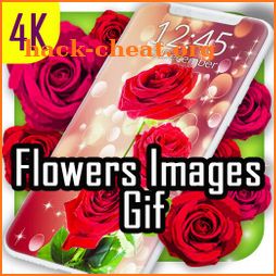 Flower Images Gif, Flowers Live Wallpapers 4K icon