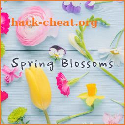 Flower Wallpaper Spring Blossoms Theme icon