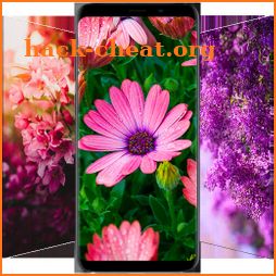 🌺 Flower Wallpapers - Colorful Flowers in HD & 4K icon