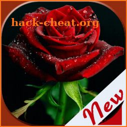 Flowers and Roses Images Gifs icon
