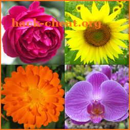 Flowers - Botanical Quiz about Beautiful Plants icon