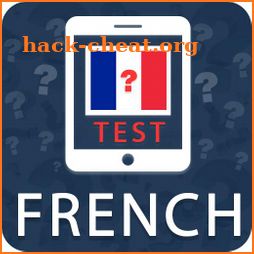 French Practice Test icon