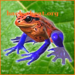 Frog Friends icon