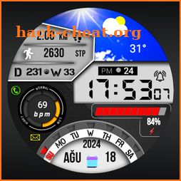 FSW266 Digital Watchface icon