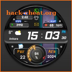 FSW278 Digital Watch face icon