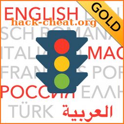 Führerschein multilingual GOLD icon