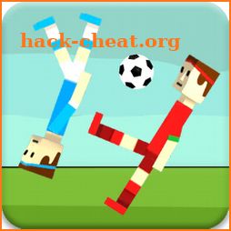 Fun Soccer Physics Game icon