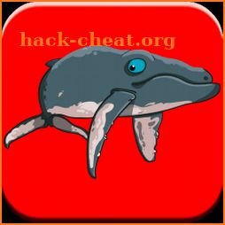 Fun Whale & My Dolphin Show Game For Kids Free🐋🐬 icon
