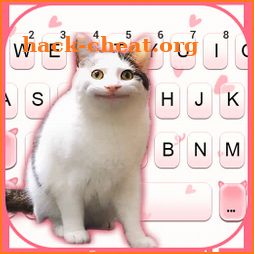 Funny Cat Face Keyboard Background icon
