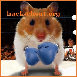 Funny Hamster Cracked Screen icon