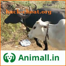 Gaay Bhains (गाय भैंस) wala app - Animall icon