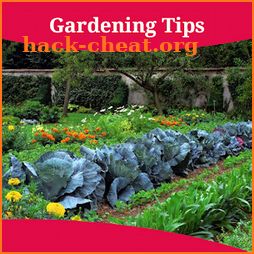 Gardening Tips icon