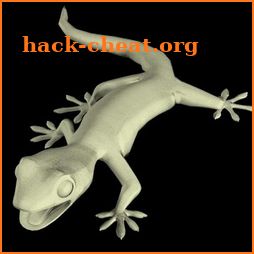 Gecko Mannequin icon