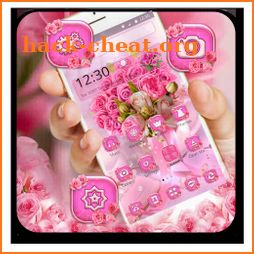 Glossy Pink Roses Launcher Theme icon
