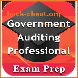 Government Auditing Professional Exam Review icon