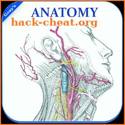 Gray's Anatomy - Atlas || Offline || Free icon