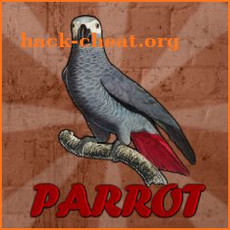 Grey Parrot Rescue icon