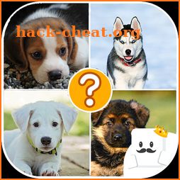 Guess Dogs Breed on photos icon