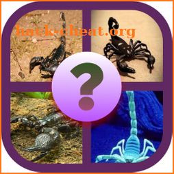 Guess Scorpion Animal Pic icon