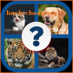 Guess The Animal: Animal Quiz icon