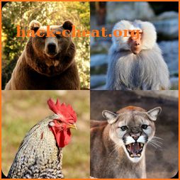 Guess The Animal: Animal Quiz icon