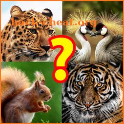 Guess the Animal Puzzle icon
