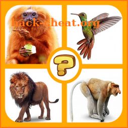 Guess the Animals Quiz 2021 icon