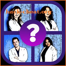 Guess the grey s anatomy icon