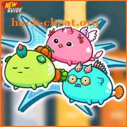Guide for axie infinity icon